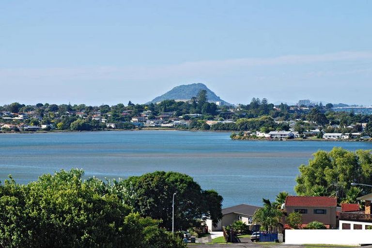 Photo of property in 74 Haukore Street, Hairini, Tauranga, 3112