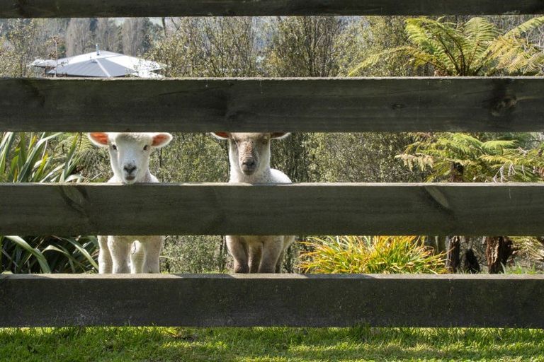 Photo of property in 17a Thorn Road, Lower Kaimai, Tauranga, 3171