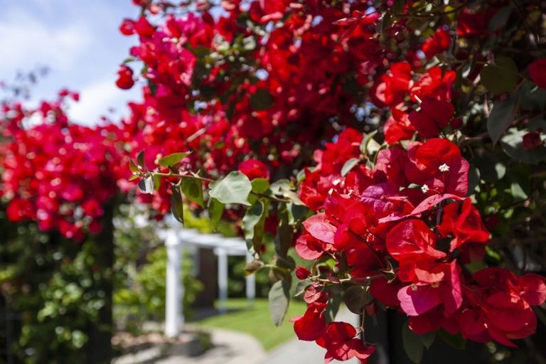 Photo of property in 29 Kohekohe Road, Waikanae, 5036