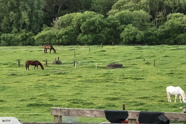 Photo of property in 109 Clark Road, Ngaruawahia, 3793