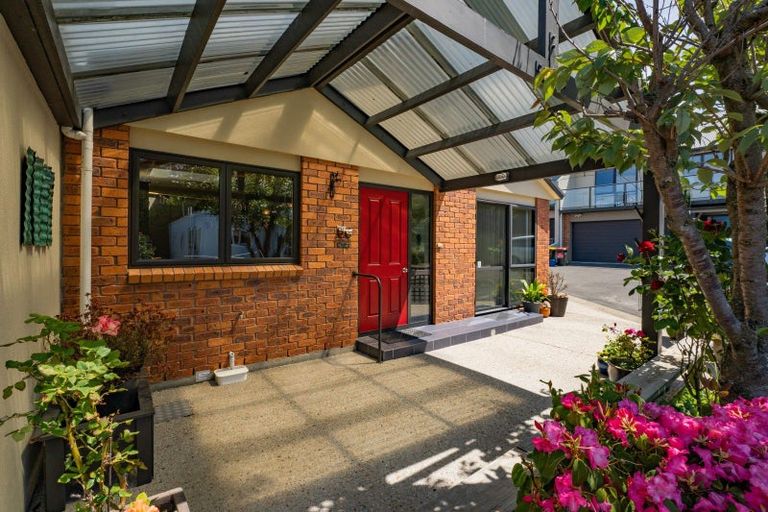 Photo of property in 202b South Road, Caversham, Dunedin, 9012