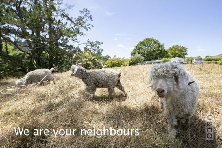 Photo of property in 12 Crabb Fields Lane, Riverhead, 0820