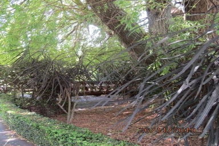 Photo of property in 85 Marchmont Road, Rangiora, 7473