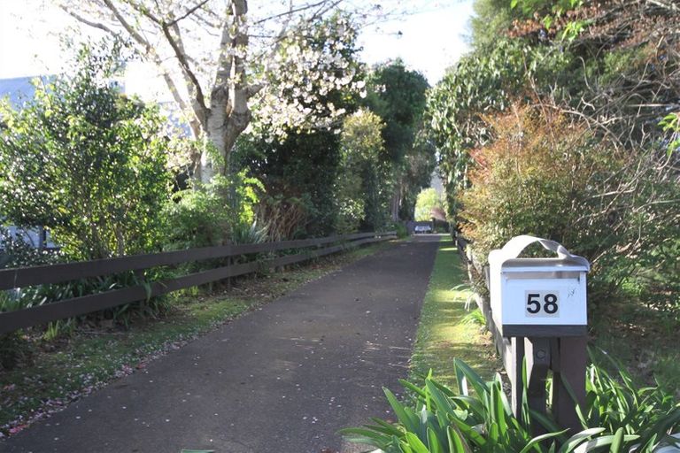 Photo of property in 58 Parry Palm Avenue, Waihi, 3610