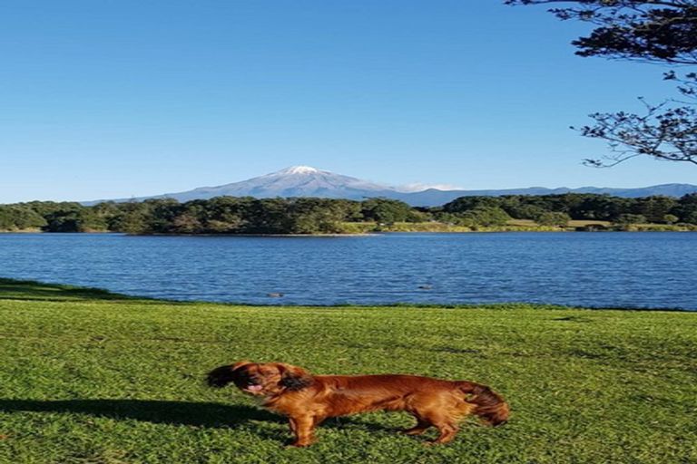 Photo of property in 5 Chatswood Grove, Fitzroy, New Plymouth, 4312