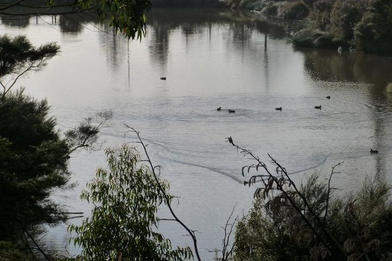 Photo of property in 12 Barnsley Place, Henderson, Auckland, 0612