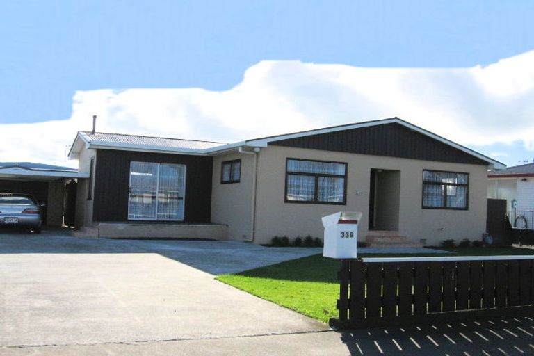 Photo of property in 339 Tremaine Avenue, Takaro, Palmerston North, 4412