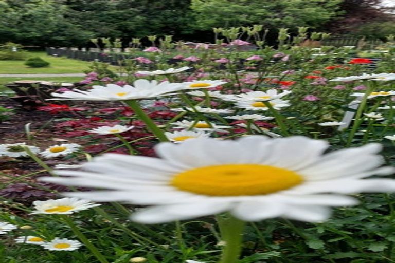 Photo of property in 18 Half Mile Road, Tuatapere, 9620