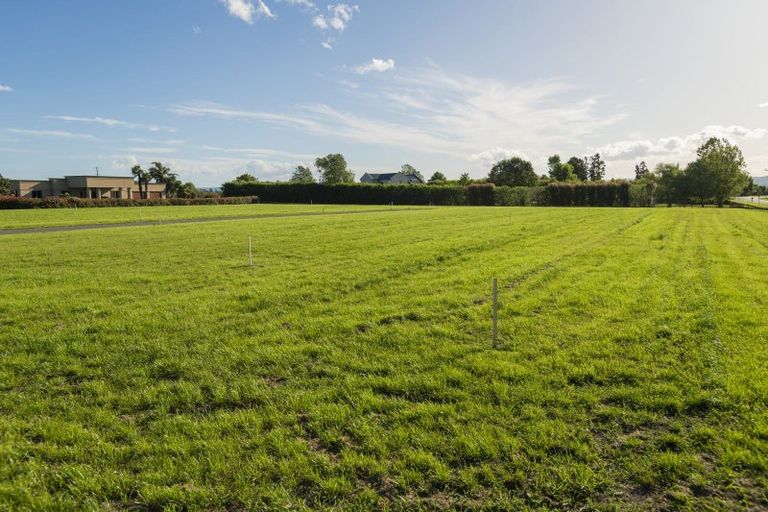 Photo of property in 4 Allan Avenue, Makauri, 4071