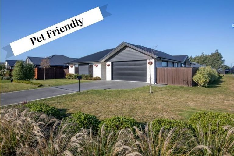 Photo of property in 84 Ridgeway Avenue, Rolleston, 7615