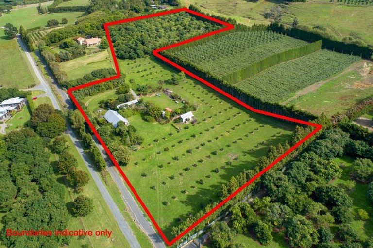 Photo of property in 109a Plummer Road, Whakamarama, Tauranga, 3179