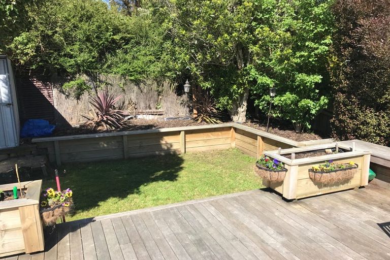 Photo of property in 17 Lynn Street, Maori Hill, Dunedin, 9010