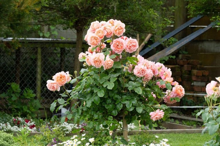 Photo of property in 37 Kiharoa Street, Otaki Beach, Otaki, 5512