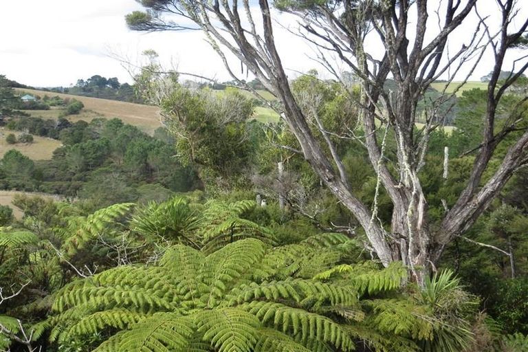 Photo of property in 78b O'brien Road, Coatesville, Albany, 0793