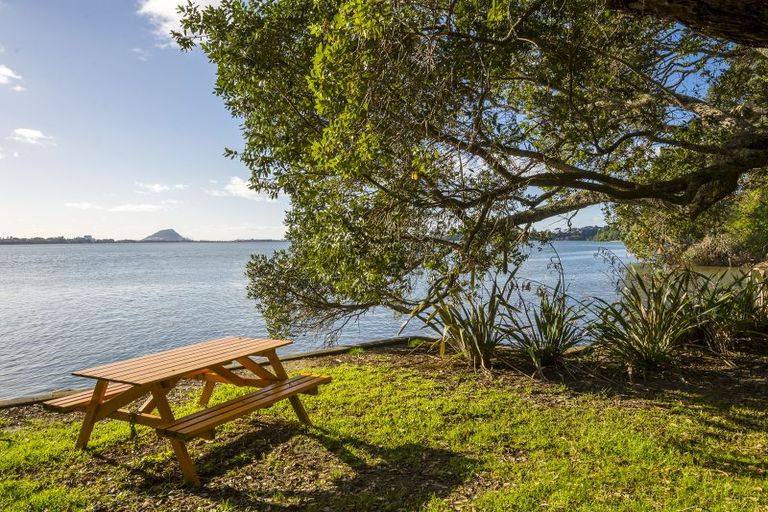 Photo of property in 238 Maungatapu Road, Maungatapu, Tauranga, 3112