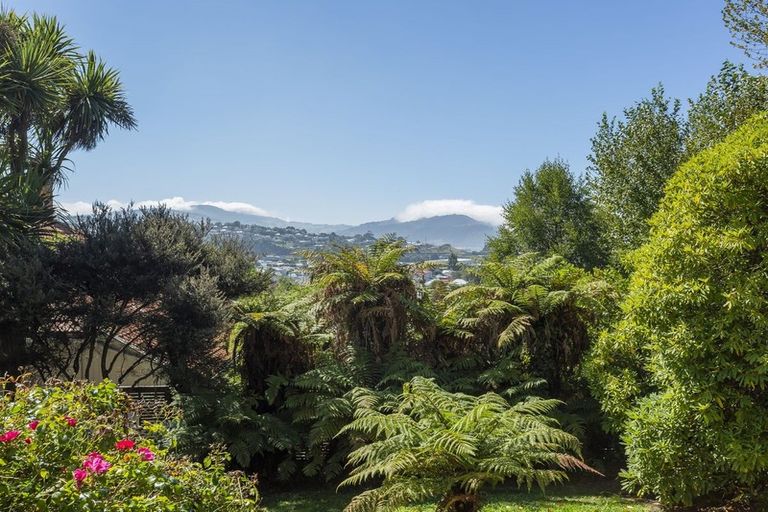 Photo of property in 52 Hazel Avenue, Caversham, Dunedin, 9012