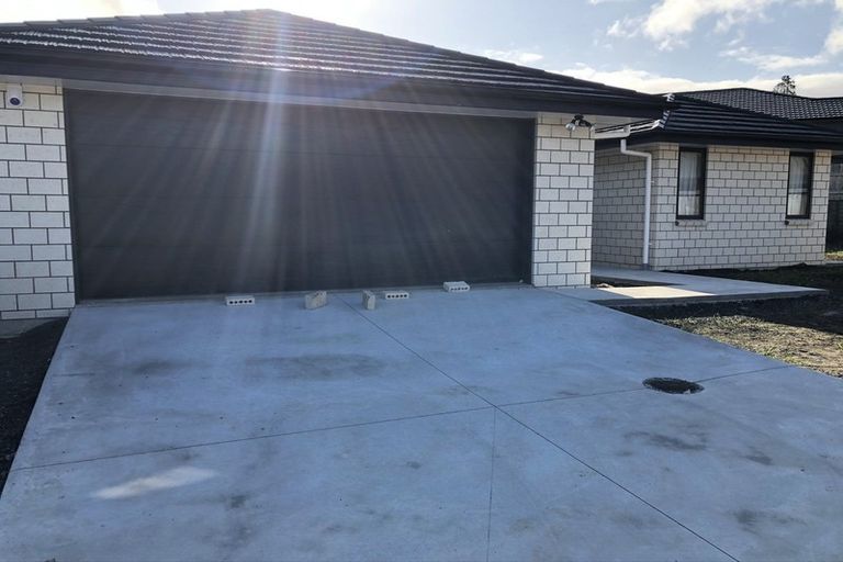 Photo of property in 19 Ribbonwood Close, Te Kauwhata, 3710