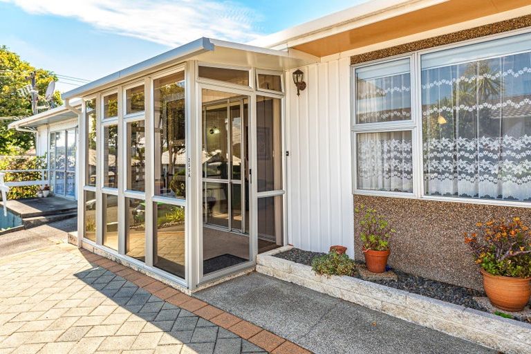 Photo of property in 255 Wicksteed Street, Whanganui, 4500