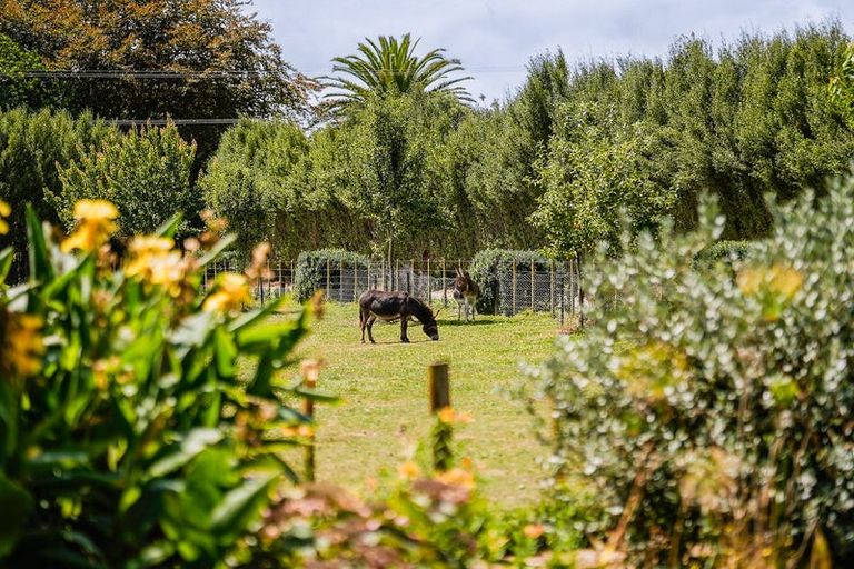 Photo of property in 46 North Manakau Road, Manakau, Levin, 5573