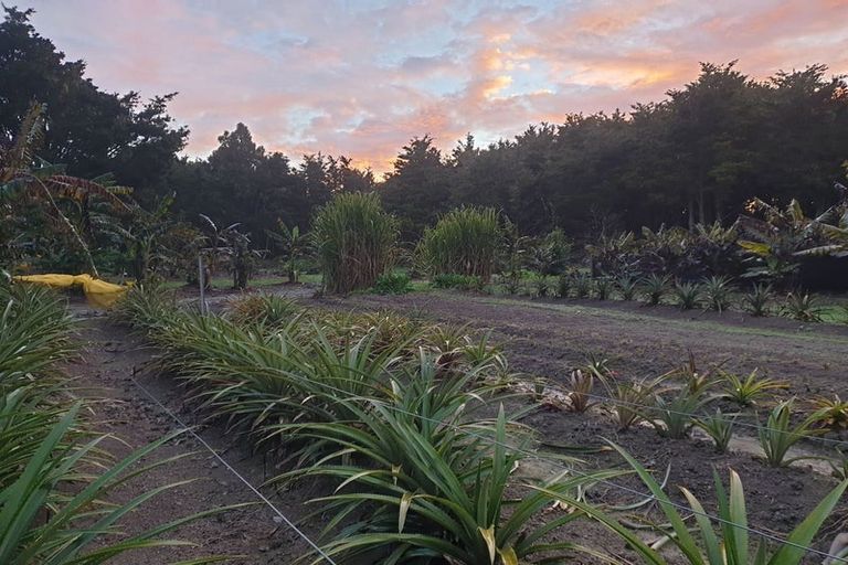 Photo of property in 304 Mangakahia Road, Maungatapere, Whangarei, 0179