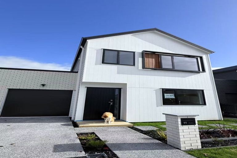 Photo of property in 11 Joint Avenue, Chartwell, Hamilton, 3210