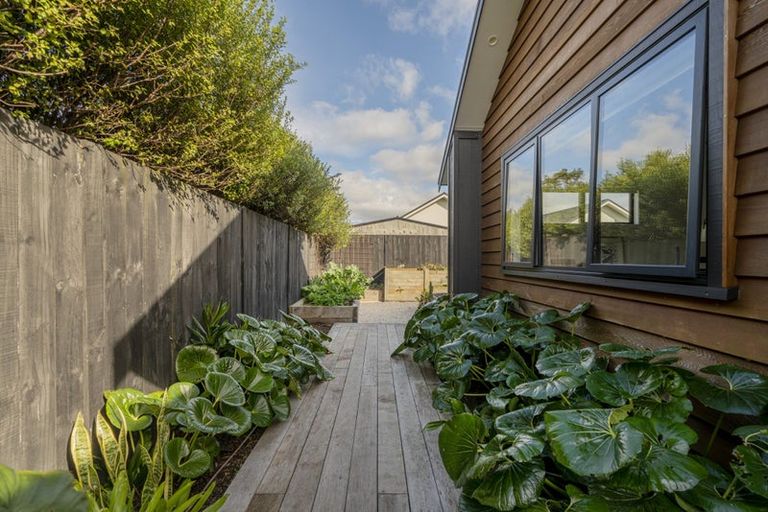 Photo of property in 11 Voyager Place, Cooks Beach, Whitianga, 3591