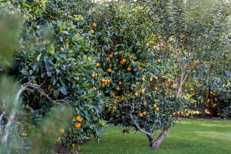 Photo of property in 5b Raukawa Grove, Waiuku, 2123