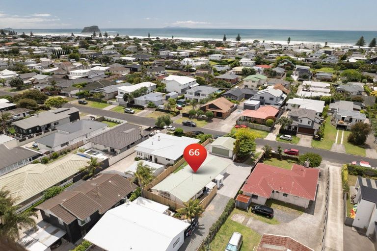 Photo of property in 66 Campbell Road, Mount Maunganui, 3116