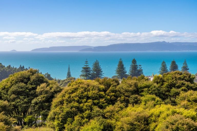 Photo of property in 14 Ringi Lane, Orewa, 0931