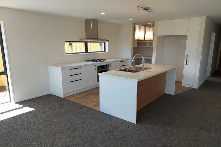 Photo of property in 19 Mccormick Lane, Rolleston, 7615