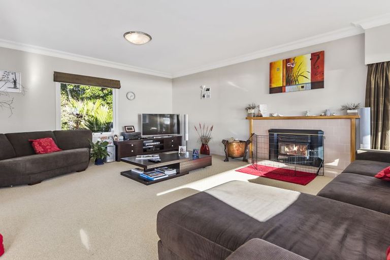 Photo of property in 238 Maungatapu Road, Maungatapu, Tauranga, 3112