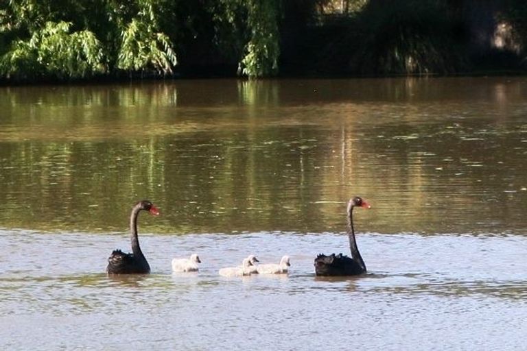 Photo of property in 135 Ballantyne Road, Poraiti, Napier, 4182