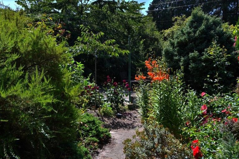 Photo of property in 40 Falcon Street, Palmerston, 9430