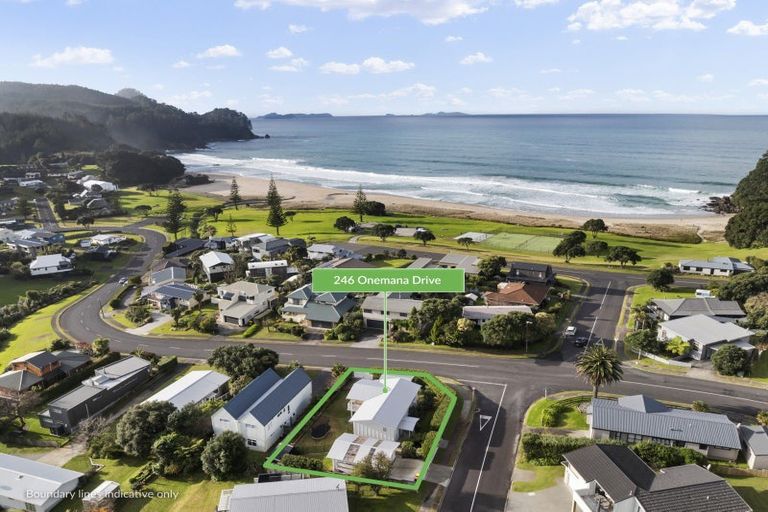 Photo of property in 246 Onemana Drive, Onemana, Whangamata, 3691