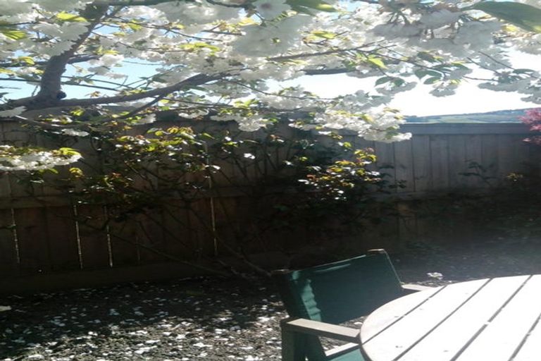 Photo of property in 711 Highgate, Maori Hill, Dunedin, 9010