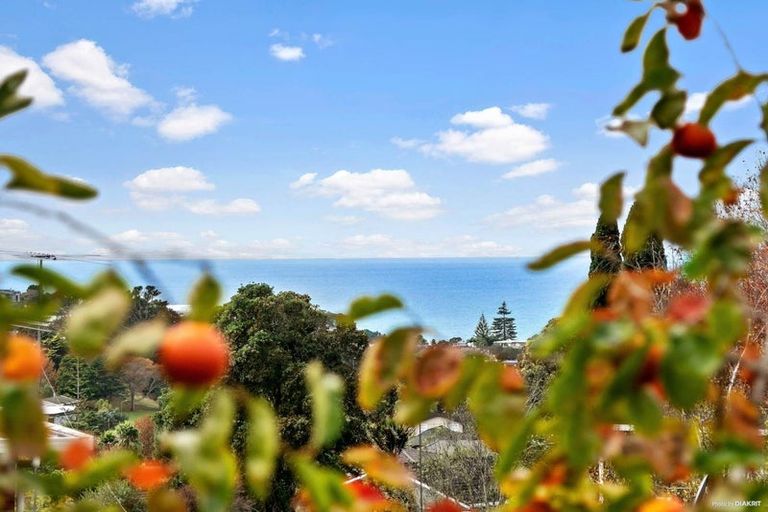 Photo of property in 5 Elizabeth Place, Mairangi Bay, Auckland, 0630