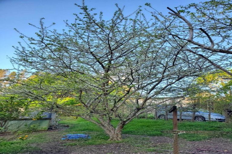 Photo of property in 482 Krippner Road, Puhoi, Warkworth, 0994