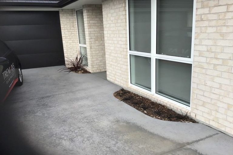 Photo of property in 12 Anglers Way, Omokoroa, 3114