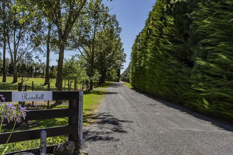 Photo of property in 1764 Tram Road, Swannanoa, Rangiora, 7475