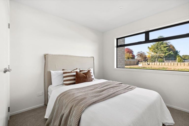 Photo of property in 14 Hauhake Terrace, Leamington, 3495