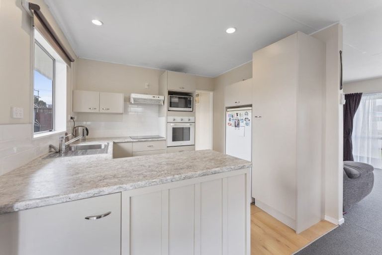 Photo of property in 101 Ryder Crescent, Levin, 5510