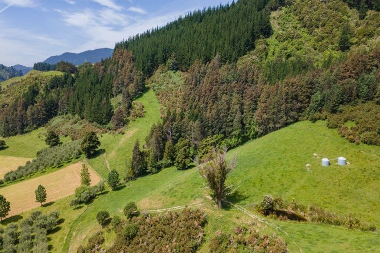 Photo of property in 145 Andrews Road, Wairoa Valley, Brightwater, 7091