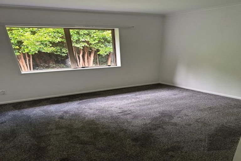 Photo of property in 36a Whitmore Road, Mount Roskill, Auckland, 1041