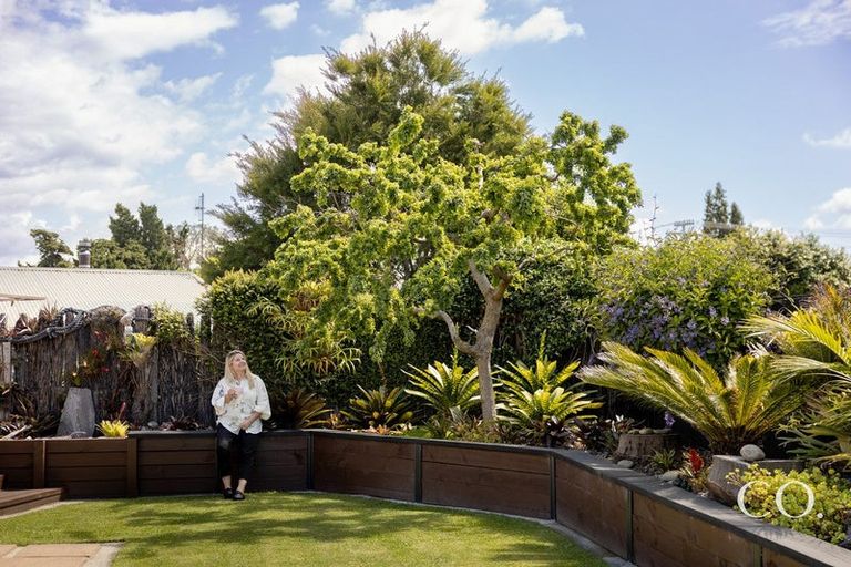 Photo of property in 64 Twentysecond Avenue, Gate Pa, Tauranga, 3112