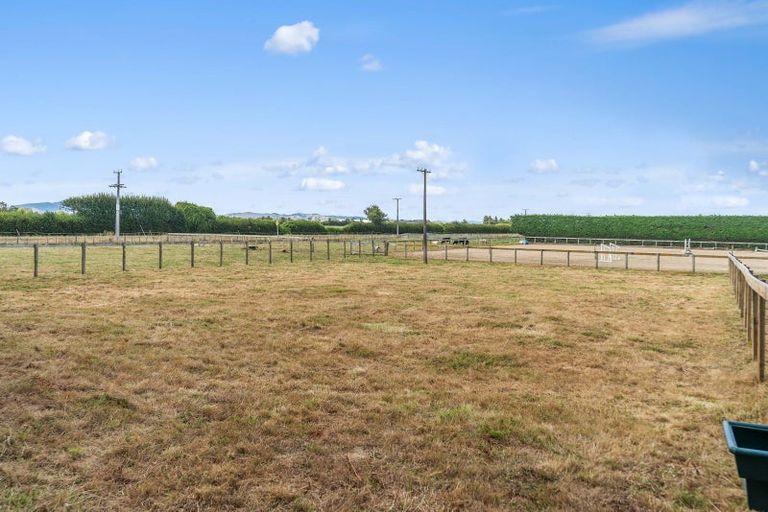 Photo of property in 303 Parallel Road, Ohaupo, Cambridge, 3495