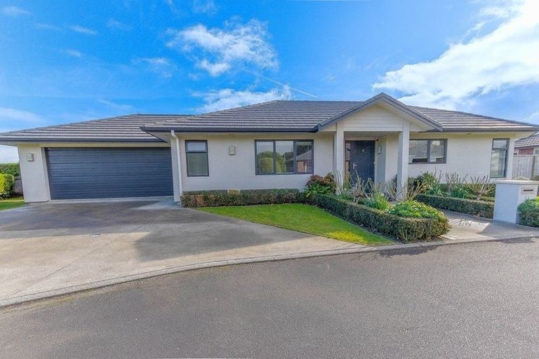 Photo of property in 36 Purnell Street, College Estate, Whanganui, 4500