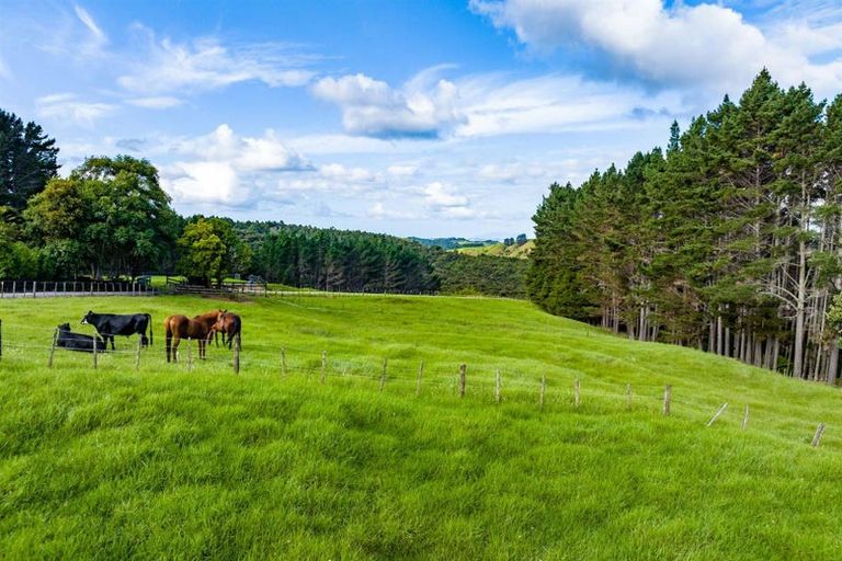 Photo of property in 1086 Pohuehue Road, Pohuehue, Warkworth, 0983