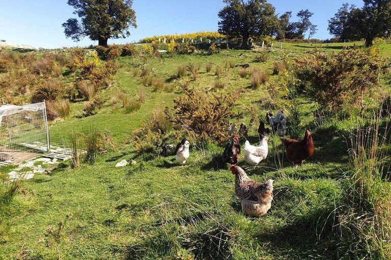 Photo of property in 759 Bay Road, Oxford, 7430