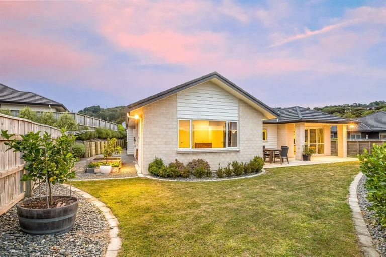 Photo of property in 9 Leadline Place, Whitby, Porirua, 5024