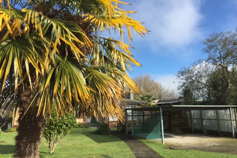 Photo of property in 12 Vincent Street, Matamata, 3400